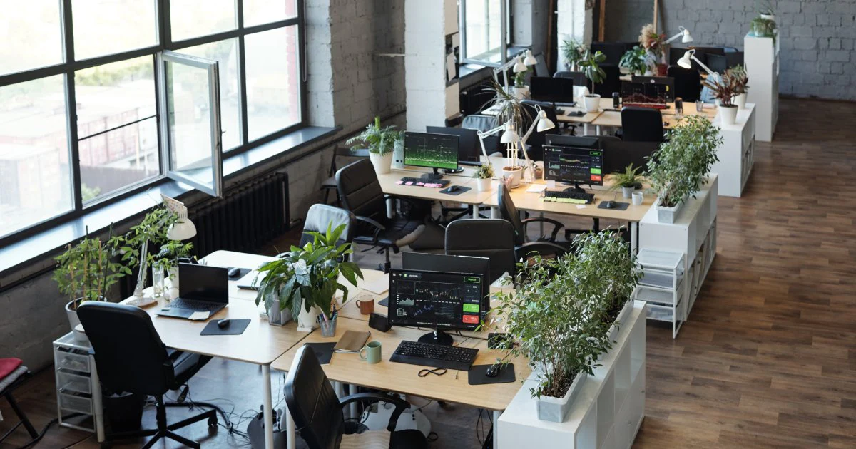 گیاهان و المان‌های طبیعی در فنگ شویی اداری